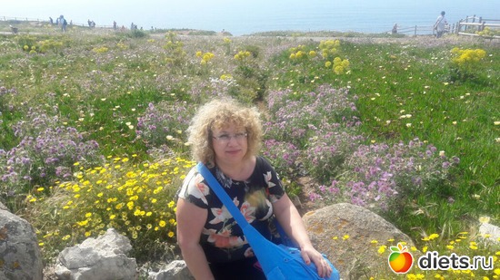 272 ����: ������� ���� 2016