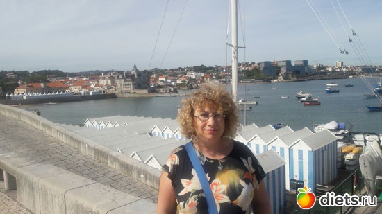 274 ����: ������� ���� 2016