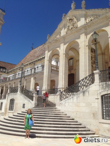 342 ����: ������� ���� 2016