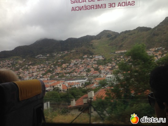 277 ����: ������� ���� 2016