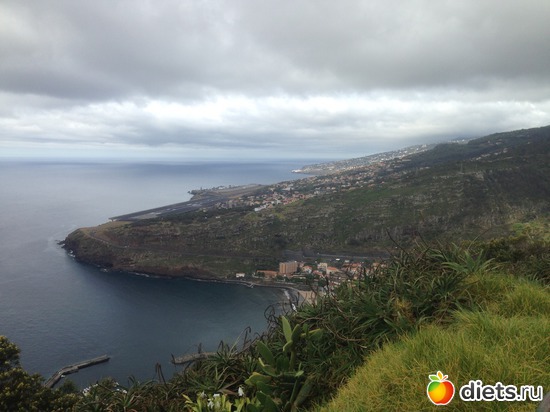 281 ����: ������� ���� 2016