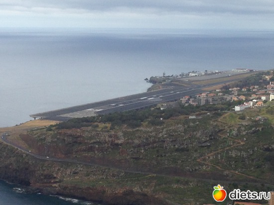 282 ����: ������� ���� 2016