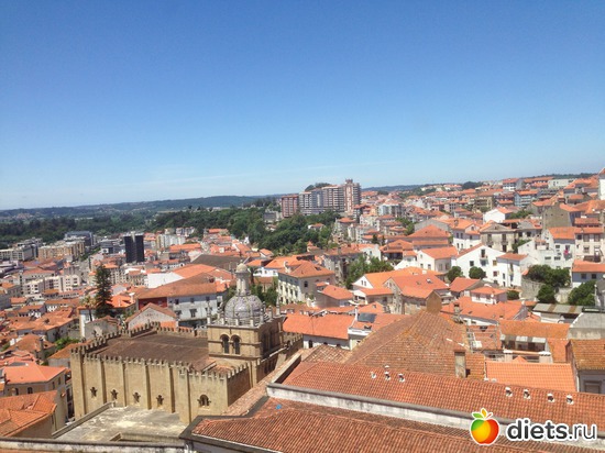 350 ����: ������� ���� 2016