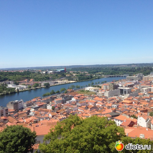 351 ����: ������� ���� 2016