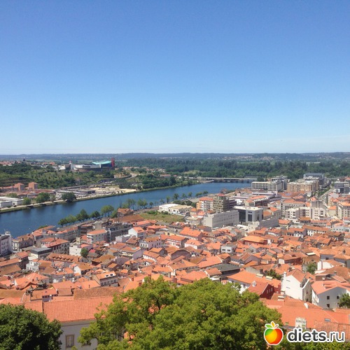 353 ����: ������� ���� 2016