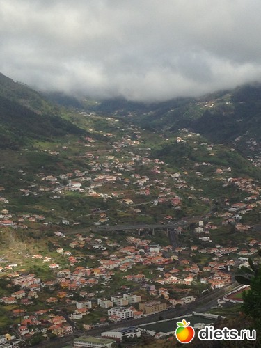 290 ����: ������� ���� 2016