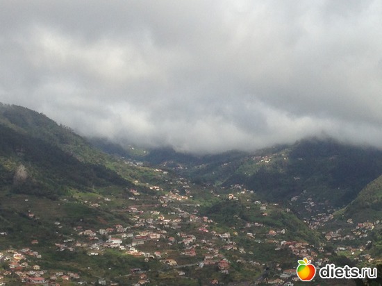 291 ����: ������� ���� 2016