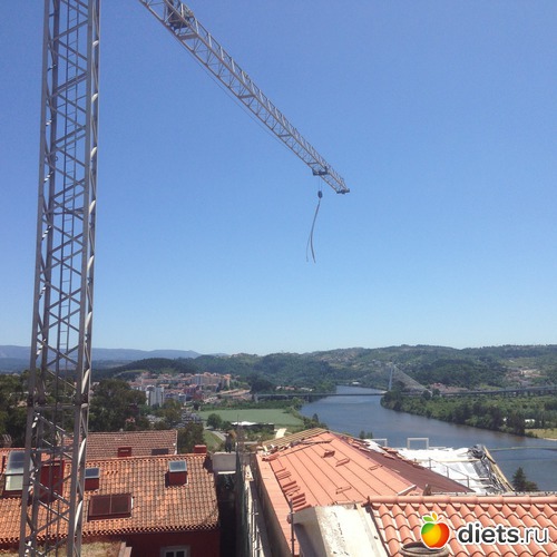 354 ����: ������� ���� 2016