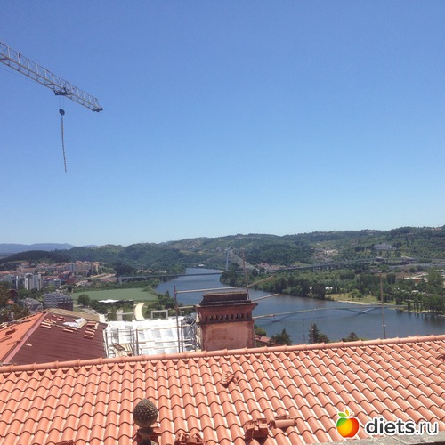 355 ����: ������� ���� 2016