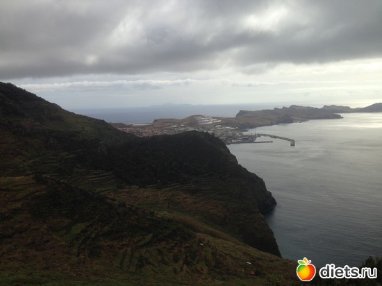 293 ����: ������� ���� 2016