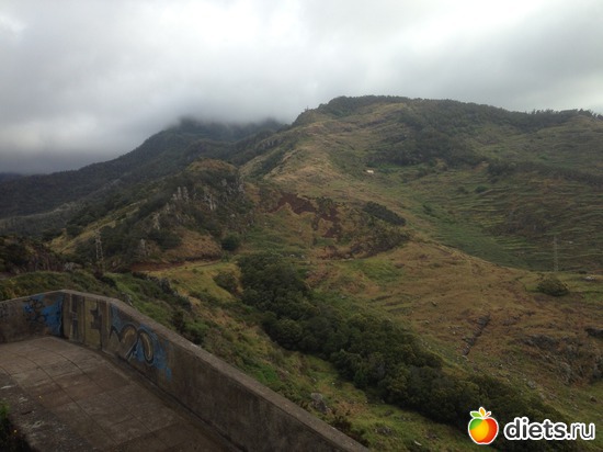 294 ����: ������� ���� 2016