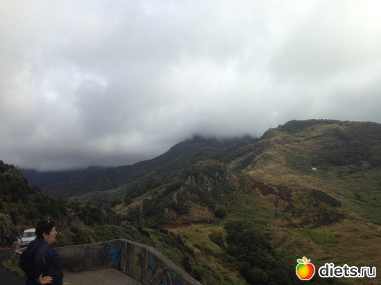 295 ����: ������� ���� 2016