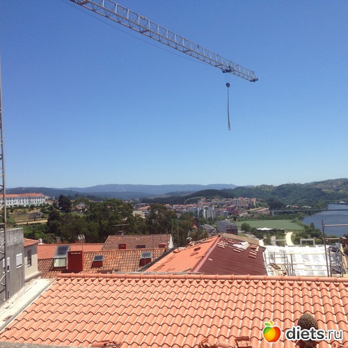 356 ����: ������� ���� 2016