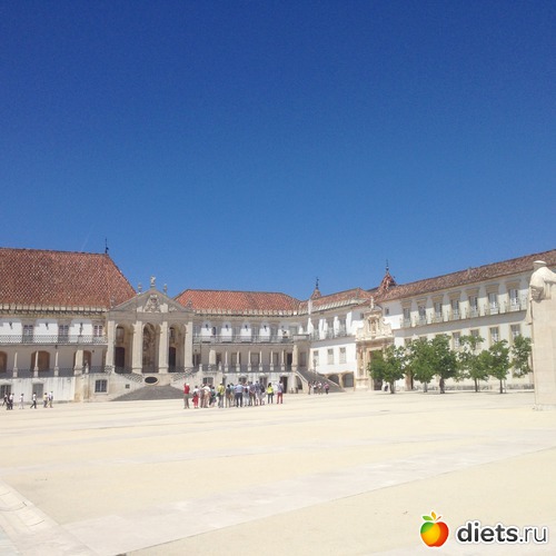 358 ����: ������� ���� 2016