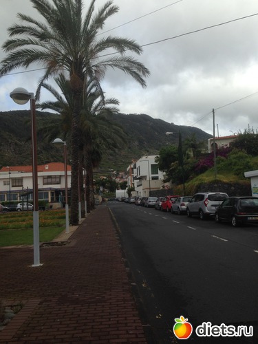 297 ����: ������� ���� 2016