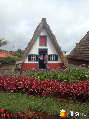 303 ����: ������� ���� 2016