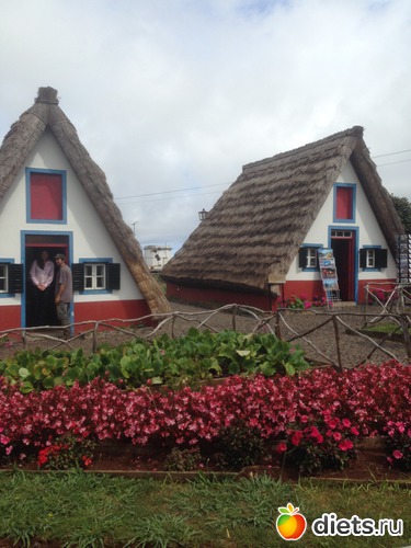 304 ����: ������� ���� 2016