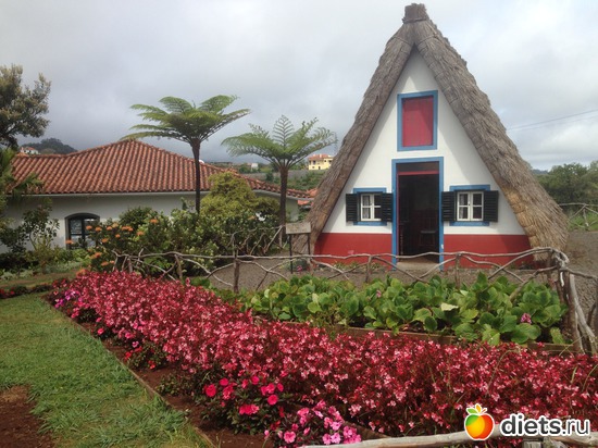 305 ����: ������� ���� 2016