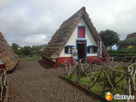 306 ����: ������� ���� 2016