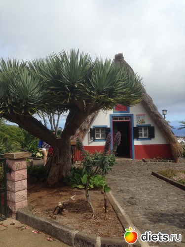 307 ����: ������� ���� 2016