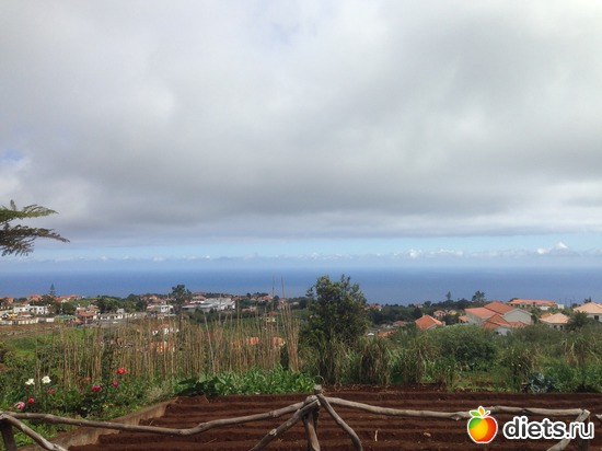 308 ����: ������� ���� 2016