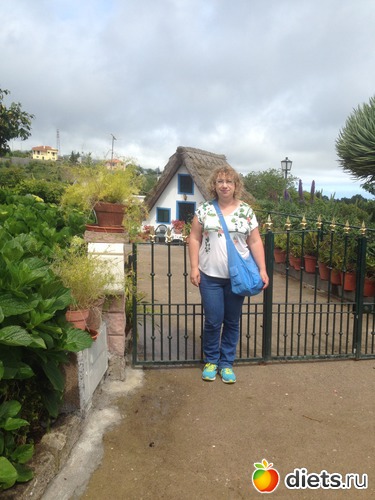 309 ����: ������� ���� 2016