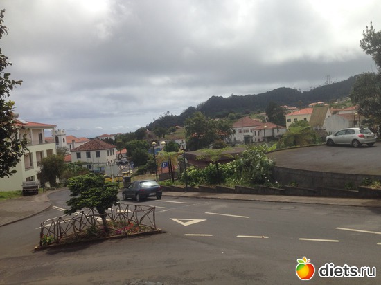 310 ����: ������� ���� 2016