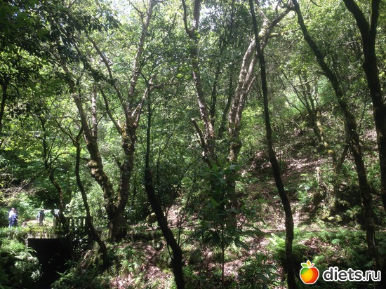 311 ����: ������� ���� 2016