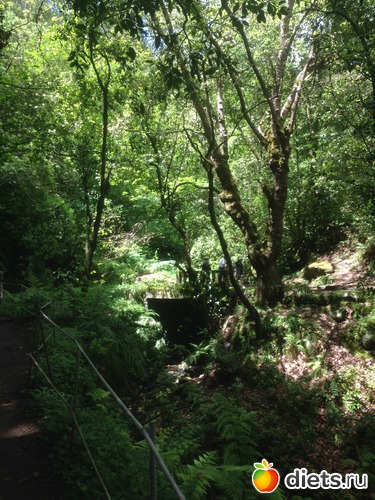 312 ����: ������� ���� 2016