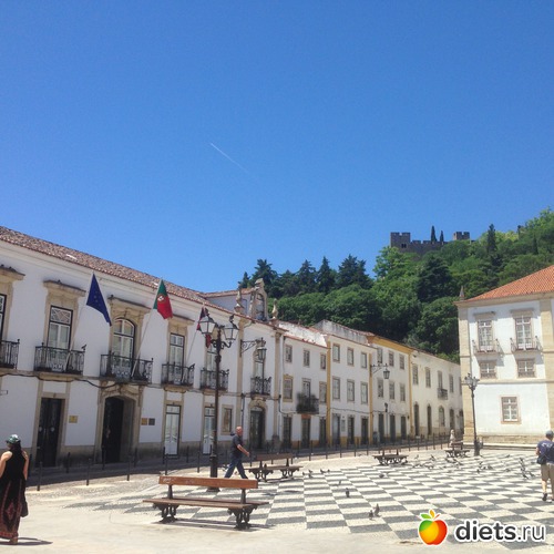 371 ����: ������� ���� 2016