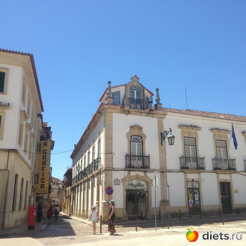 372 ����: ������� ���� 2016