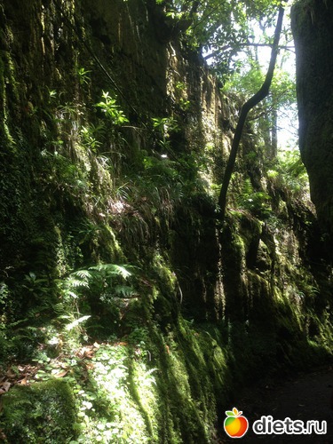 313 ����: ������� ���� 2016