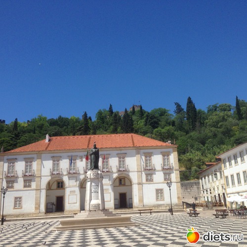 373 ����: ������� ���� 2016