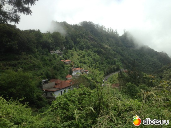 314 ����: ������� ���� 2016