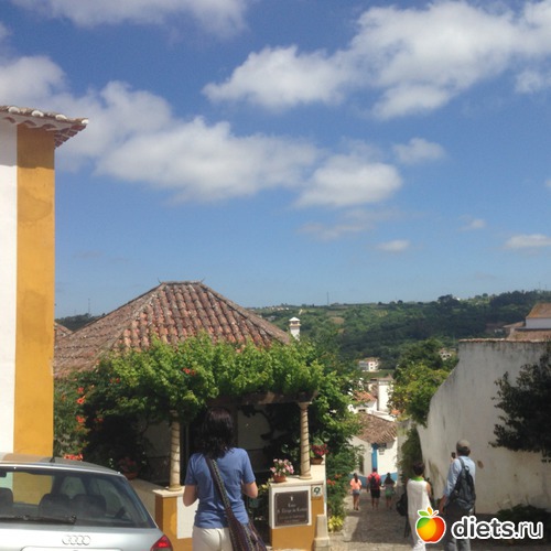 376 ����: ������� ���� 2016