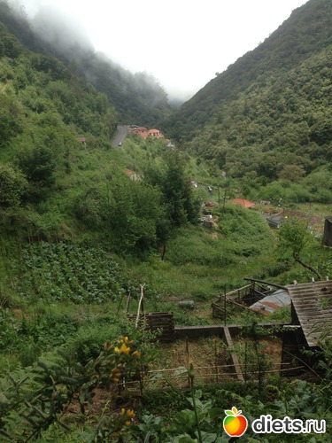 315 ����: ������� ���� 2016