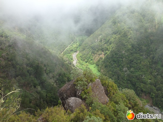 316 ����: ������� ���� 2016