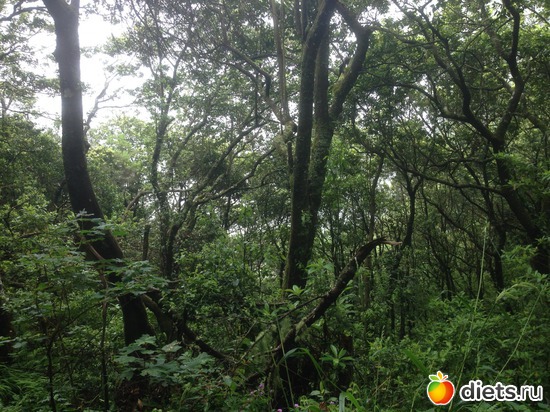 317 ����: ������� ���� 2016