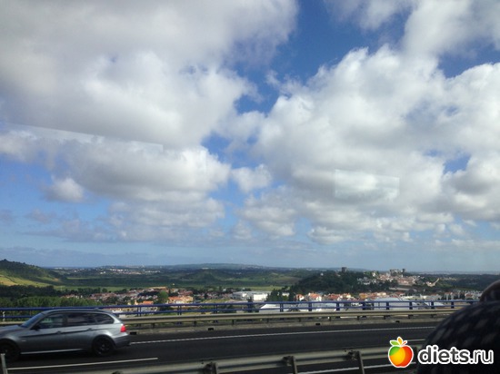 318 ����: ������� ���� 2016