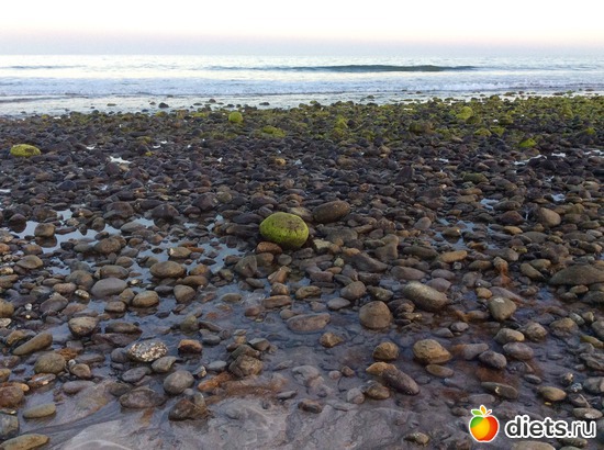 �����, ������: Gran Canaria 20.06-01.07.2016