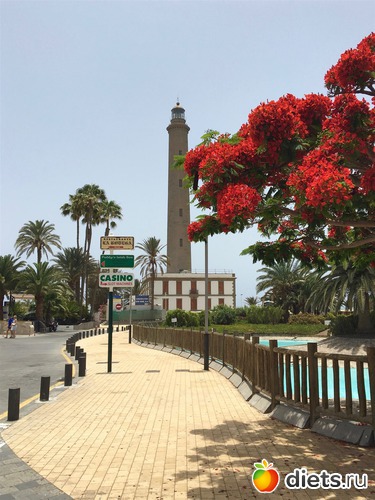 ����������� � ���� ��������, ������: Gran Canaria 20.06-01.07.2016