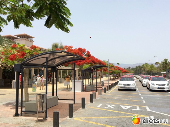 12 ����: Gran Canaria 20.06-01.07.2016