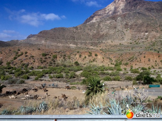 �������� ����� ����������� �� ��������, ������: Gran Canaria 20.06-01.07.2016