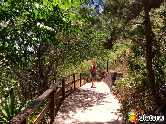������� ��������� ����� �������, ������: Gran Canaria 20.06-01.07.2016