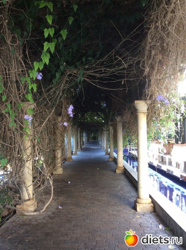 ������ � �������, ������: Gran Canaria 20.06-01.07.2016