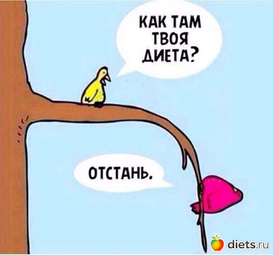 7 ����: ��� �������� ����������:)