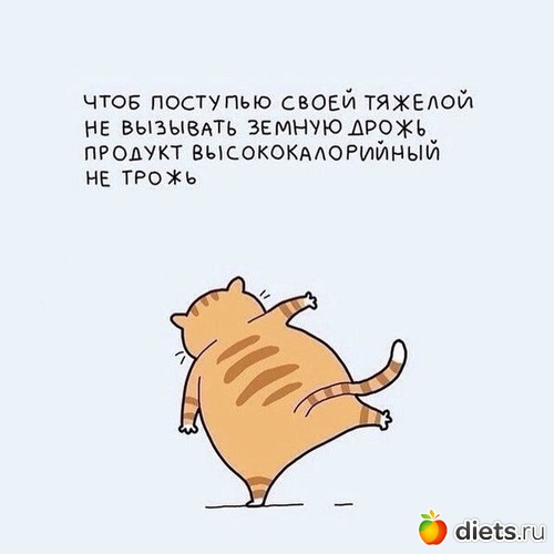 10 ����: ��� �������� ����������:)