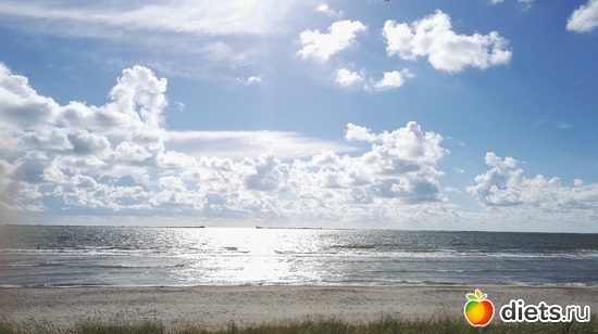 1 ����: ����