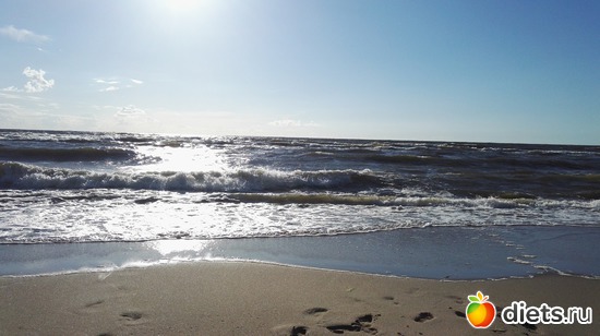 3 ����: ����