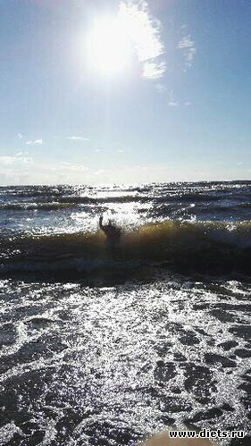 5 ����: ����